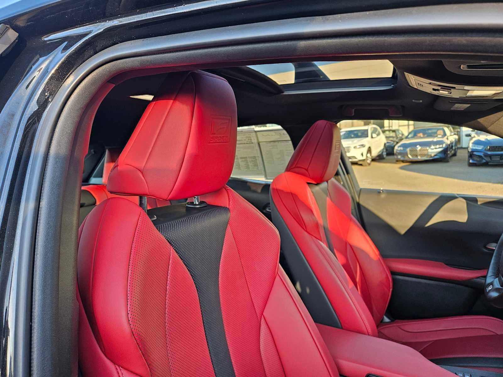 2020 Lexus UX F SPORT