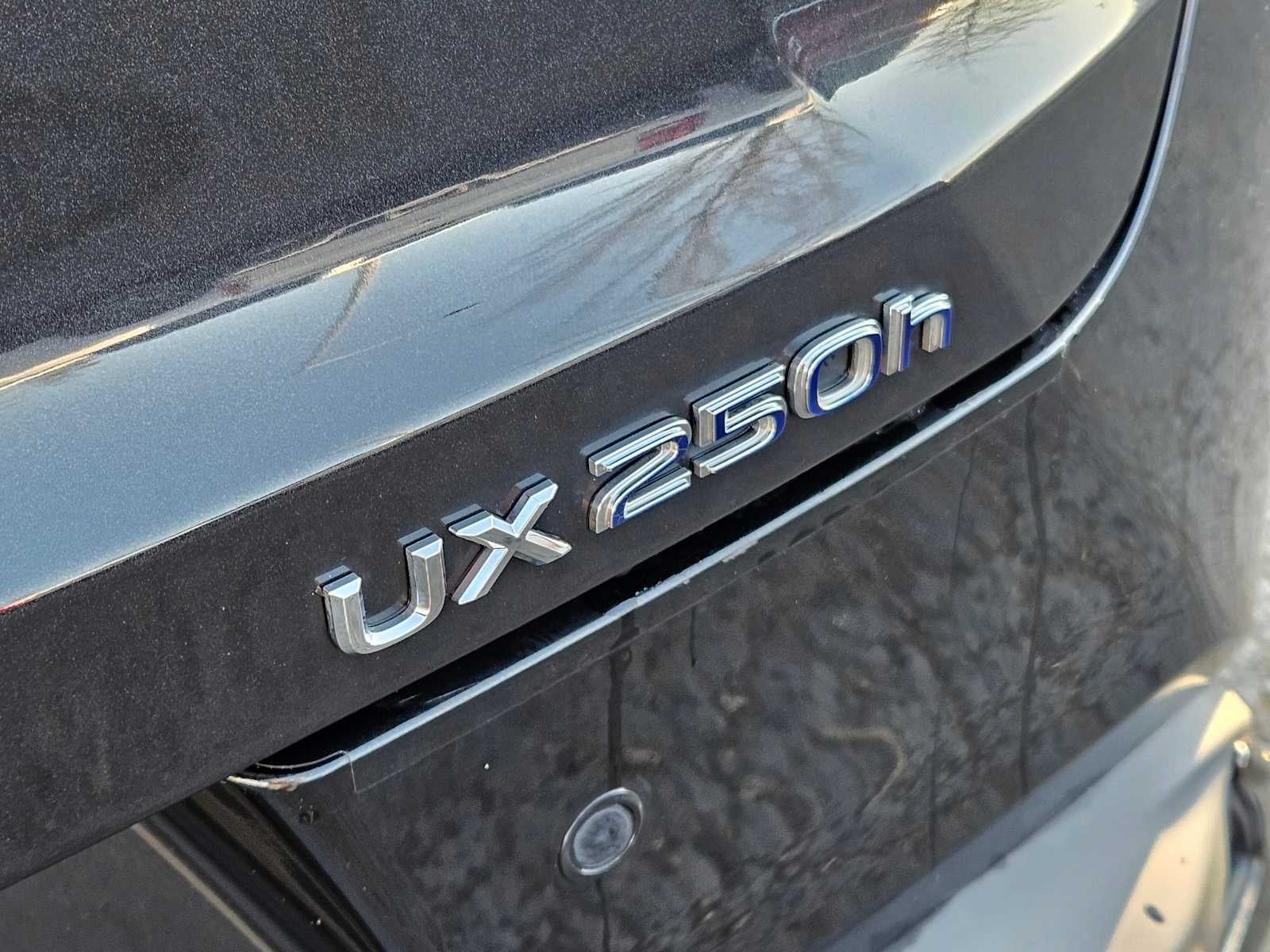 2020 Lexus UX F SPORT