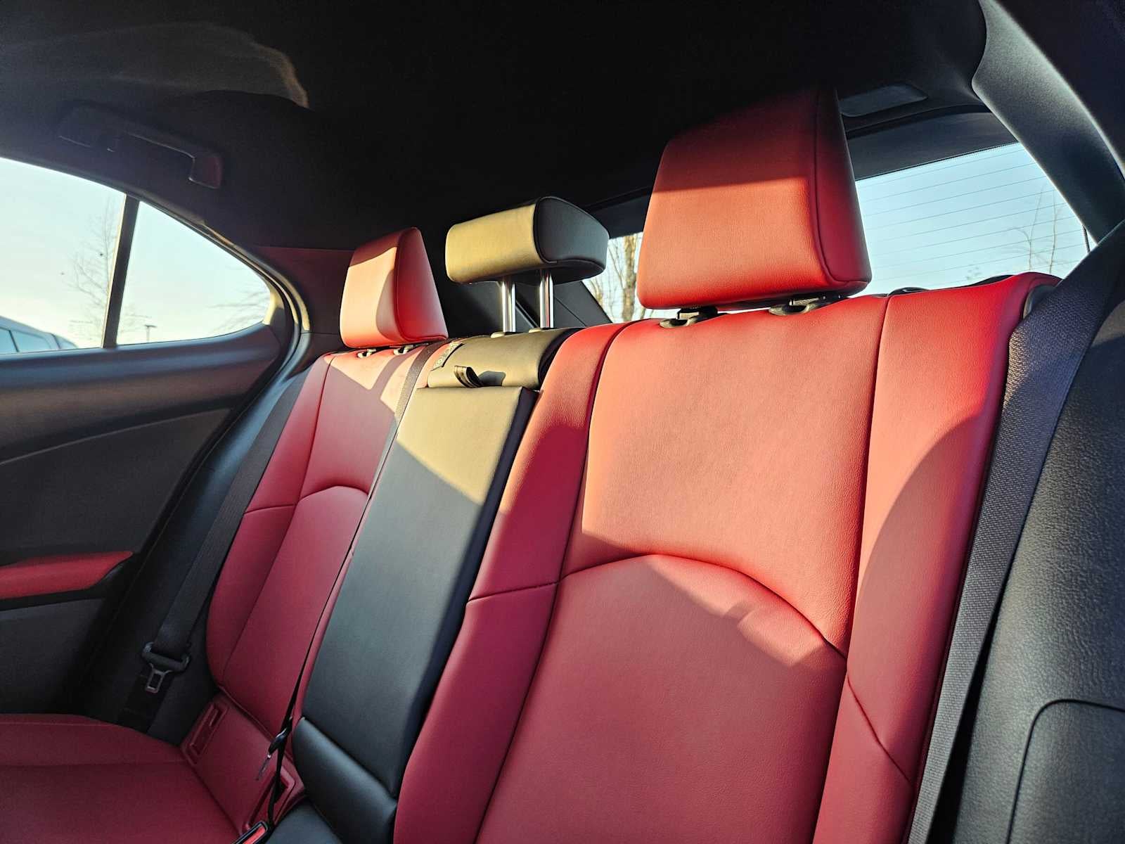 2020 Lexus UX F SPORT