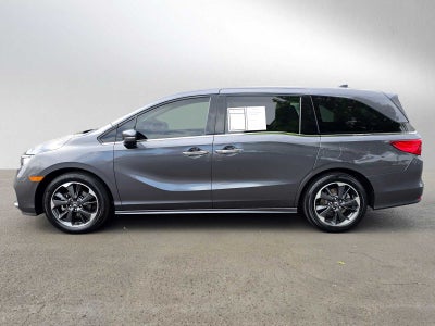 2024 Honda Odyssey Elite