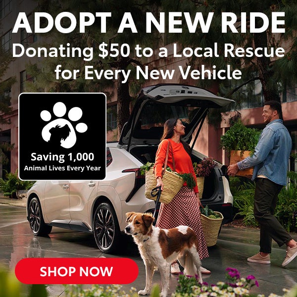adopt