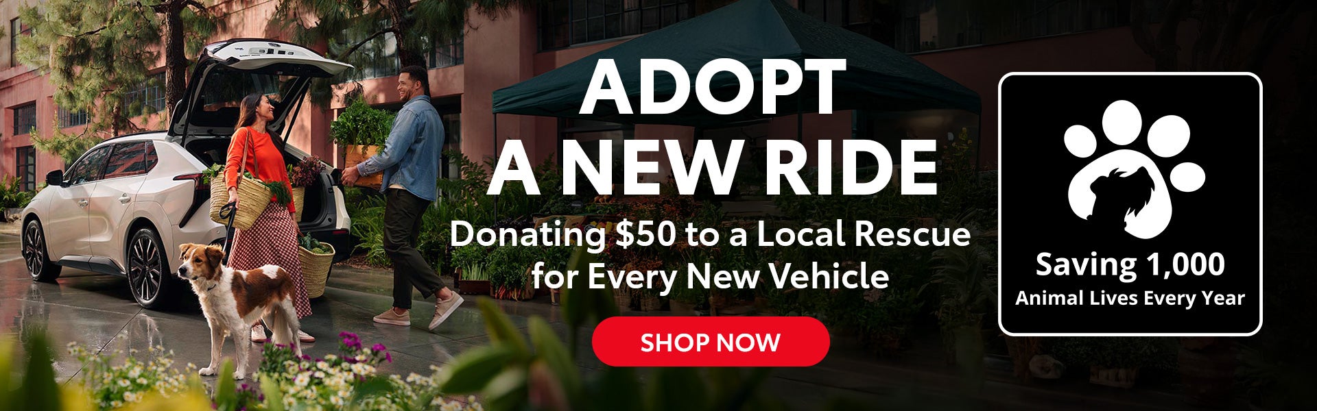 adopt